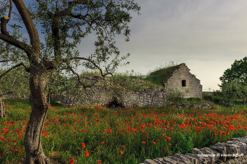 Architettura-rurale.jpg