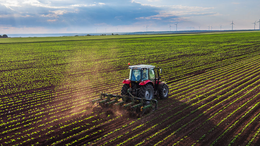 agricoltura-is-169.jpg